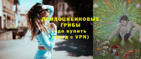 МДПВ Володарск