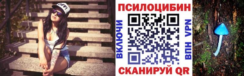 Галлюциногенные грибы прущие грибы  mega как зайти  Высоцк 